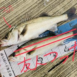 夜から朝マズメのダブルヘッダー。