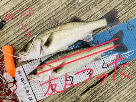 夜から朝マズメのダブルヘッダー。