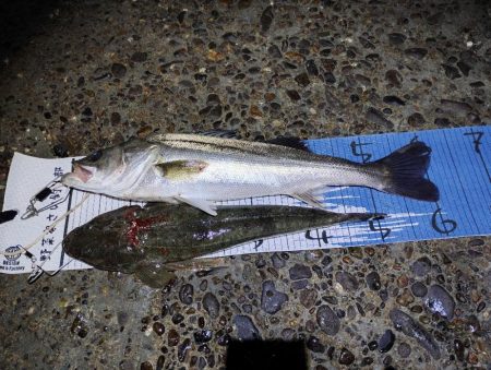 諦めて帰らんでよかった。