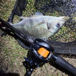 しごおわ初冬チニング