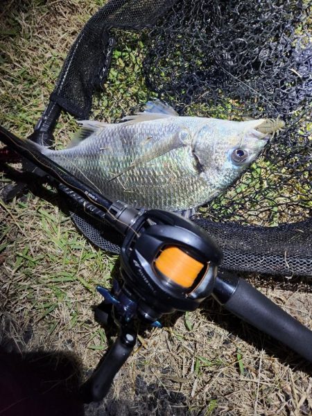 しごおわ初冬チニング