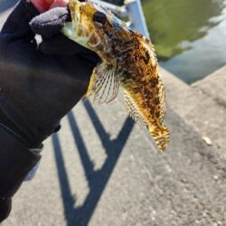 広島呉地区開拓