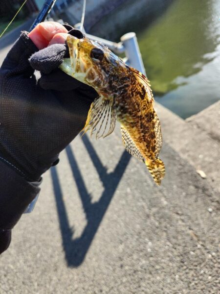 広島呉地区開拓