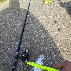 逢えたデカあじ