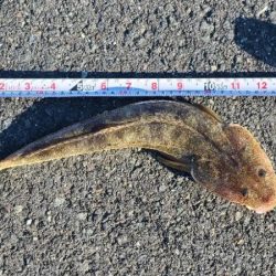 今日は晴天でした