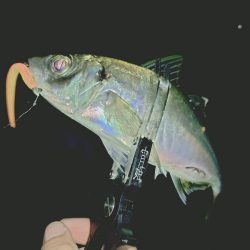 サーフフロートアジング