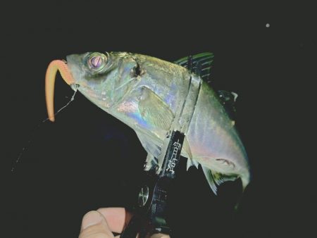 サーフフロートアジング