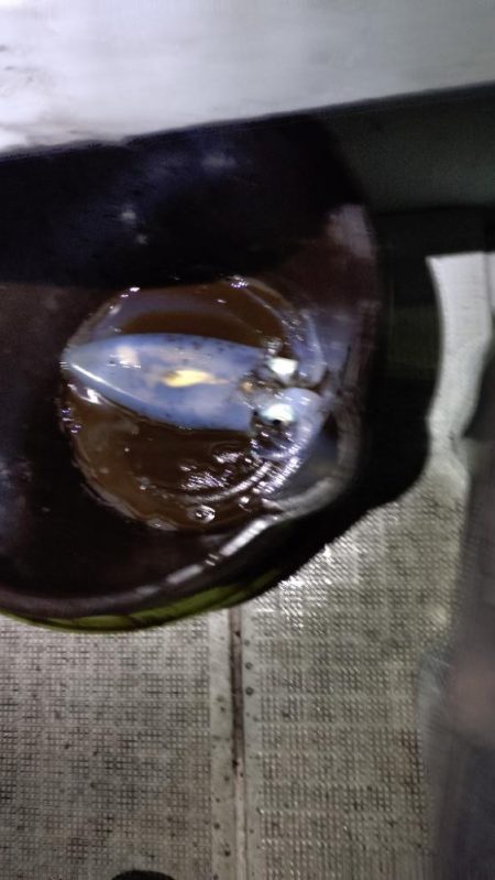 ティップラン終盤戦