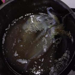 広島湾ティップラン最終戦