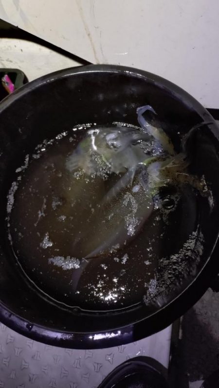 広島湾ティップラン最終戦