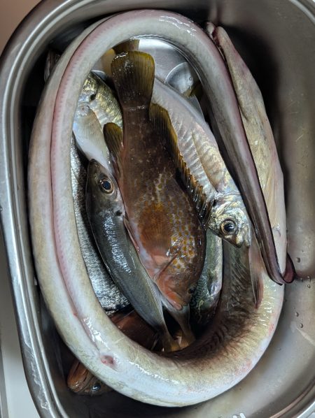 エレベーター式飲ませ釣り