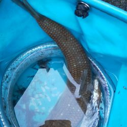 地合いは40分くらい