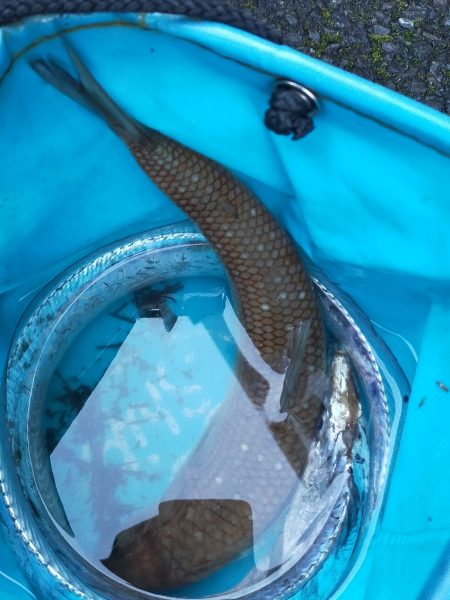 地合いは40分くらい