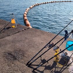 投釣りはじめました