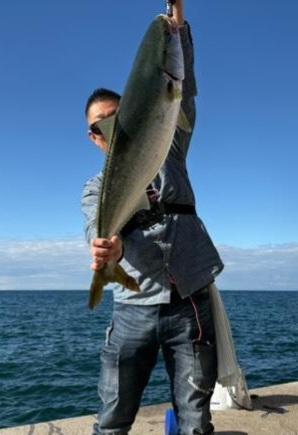 2025秋の青物シーズン開幕③