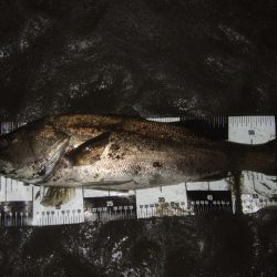 厳しい状況の中