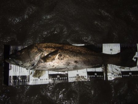 厳しい状況の中