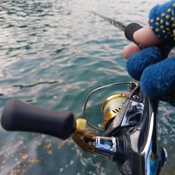 とりあえずアオリ10回目