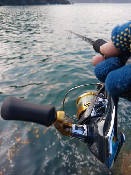 とりあえずアオリ10回目