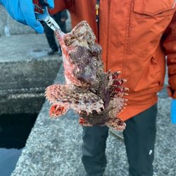 さびきでオニカサゴ