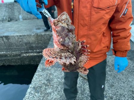 さびきでオニカサゴ