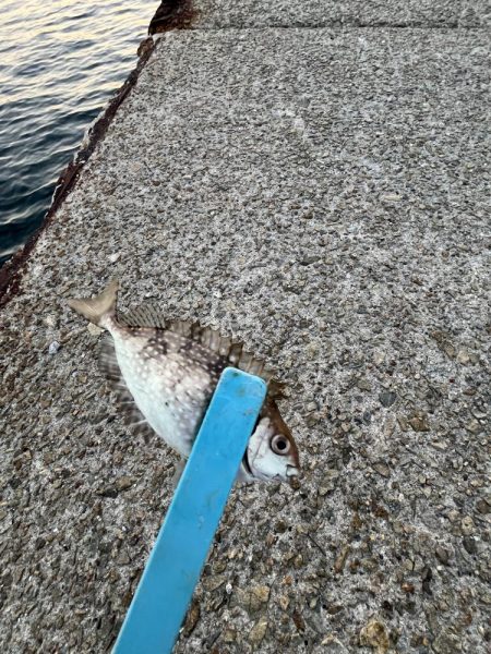 冬の時期スタート！