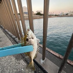 ゲゲゲの外道の日　サビキの冬の巻