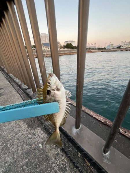 ゲゲゲの外道の日　サビキの冬の巻