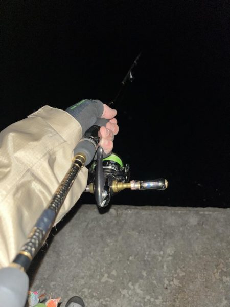 エギング 佐渡遠征⑦