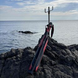 たかたかの釣り日記