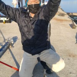 魚住漁港の落ちギス調査