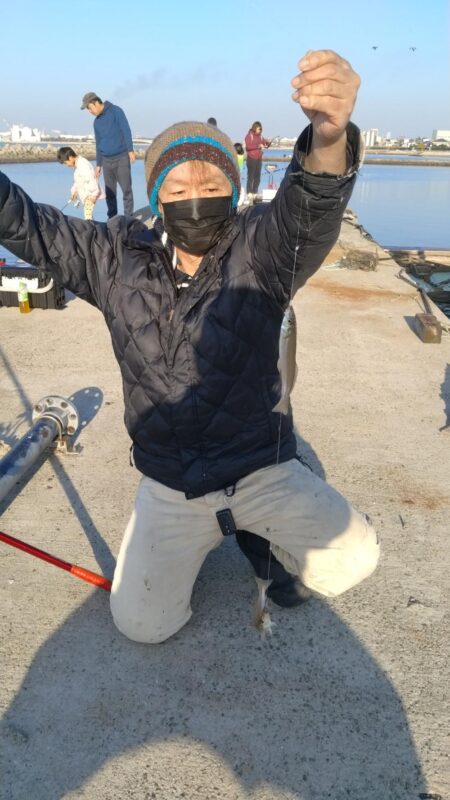 魚住漁港の落ちギス調査