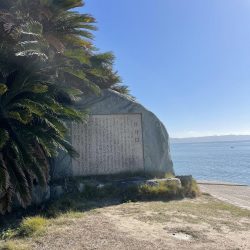 江井ヶ島キス到来