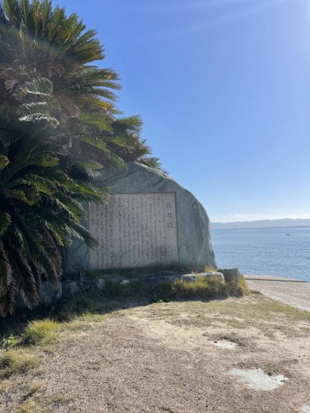 江井ヶ島キス到来