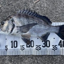 イチノ兄弟、釣果！