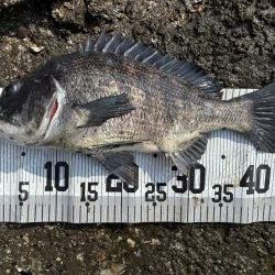 イチノ兄弟、釣果！