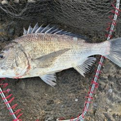 イチノ兄弟、釣果！