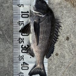 イチノ兄弟、釣果!