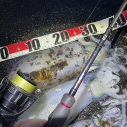 2025 佐渡ヶ島エギング Vol.57【11月20日】