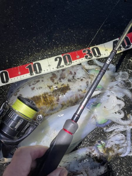 2025 佐渡ヶ島エギング Vol.57【11月20日】