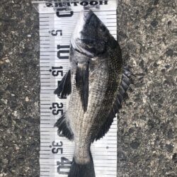 イチノ兄弟、釣果！