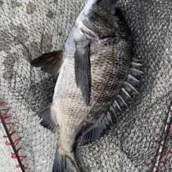 イチノ兄弟、釣果！