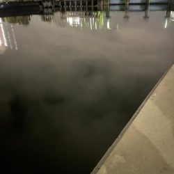 想像より渋かった