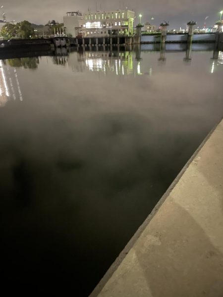 想像より渋かった