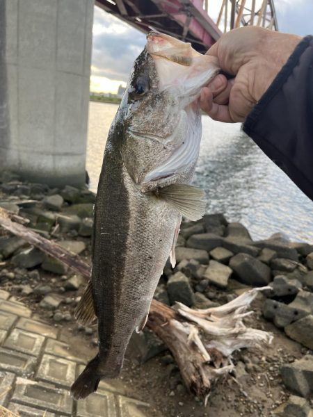 デイゲームでヒット