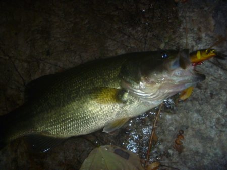 一庫ダム釣行　11月17日