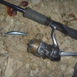 一庫ダム釣行　11月20日