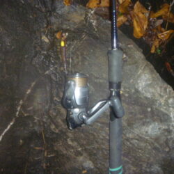 淡水魚釣行　11月25日