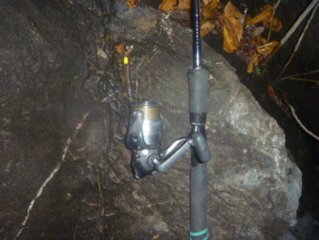 淡水魚釣行　11月25日