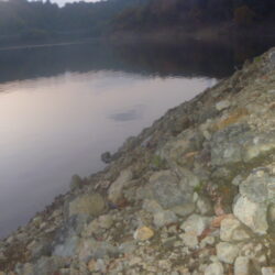 一庫ダム釣行　11月26日